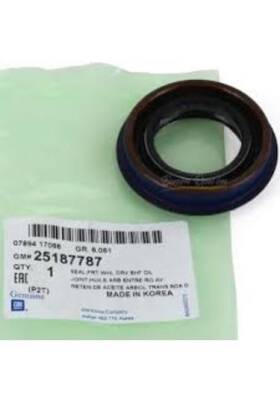 Aks Keçesi Aveo T300 Cruze Lacetti Kalos - 2