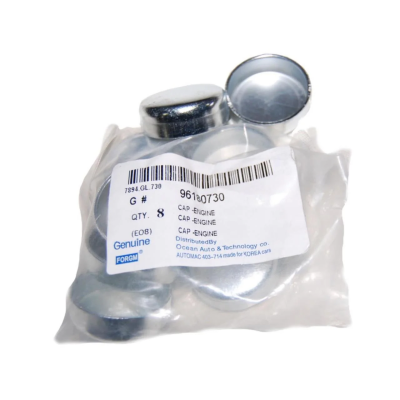 Blok Su Tapası 34 Mm Astra Vectra Capti Cruz Lacetti - GM