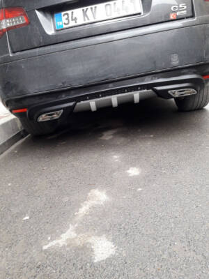 Difüzör 2 Çıkış Eksoz Üniversal Gümüş - 8