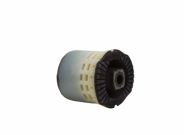 Dingil Burcu Arka Cruze - 1