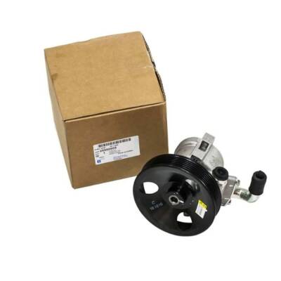 Direksiyon Pompası Captiva C100 Hıza Duyarlı *Garantisiz* Gm - GM