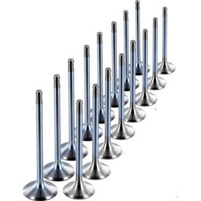 Subap Takımı Captıva 2,0D 16V/Antara 96951455 TETİK - TETIK