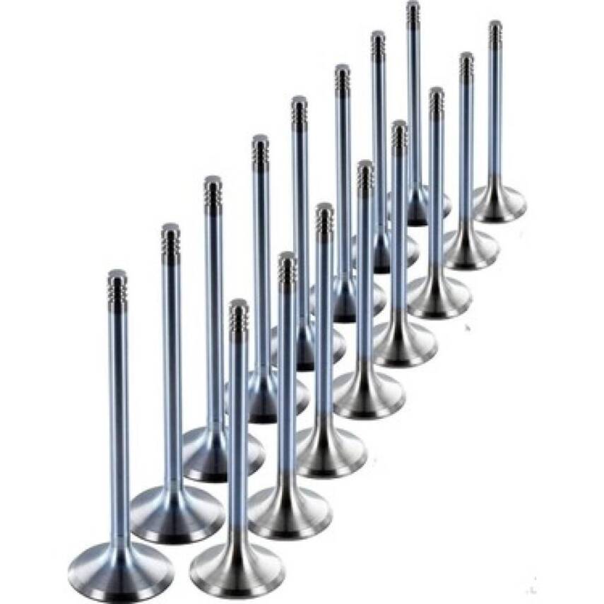 Subap Takımı Captıva 2,0D 16V/Antara 96951455 TETİK - 1